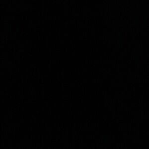 Meet your Posher, Layla